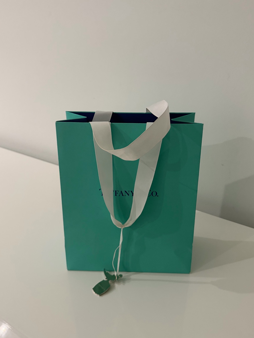 Tiffany & Co. Robin's-Egg Blue Paper Tote With White Ribbon Handles